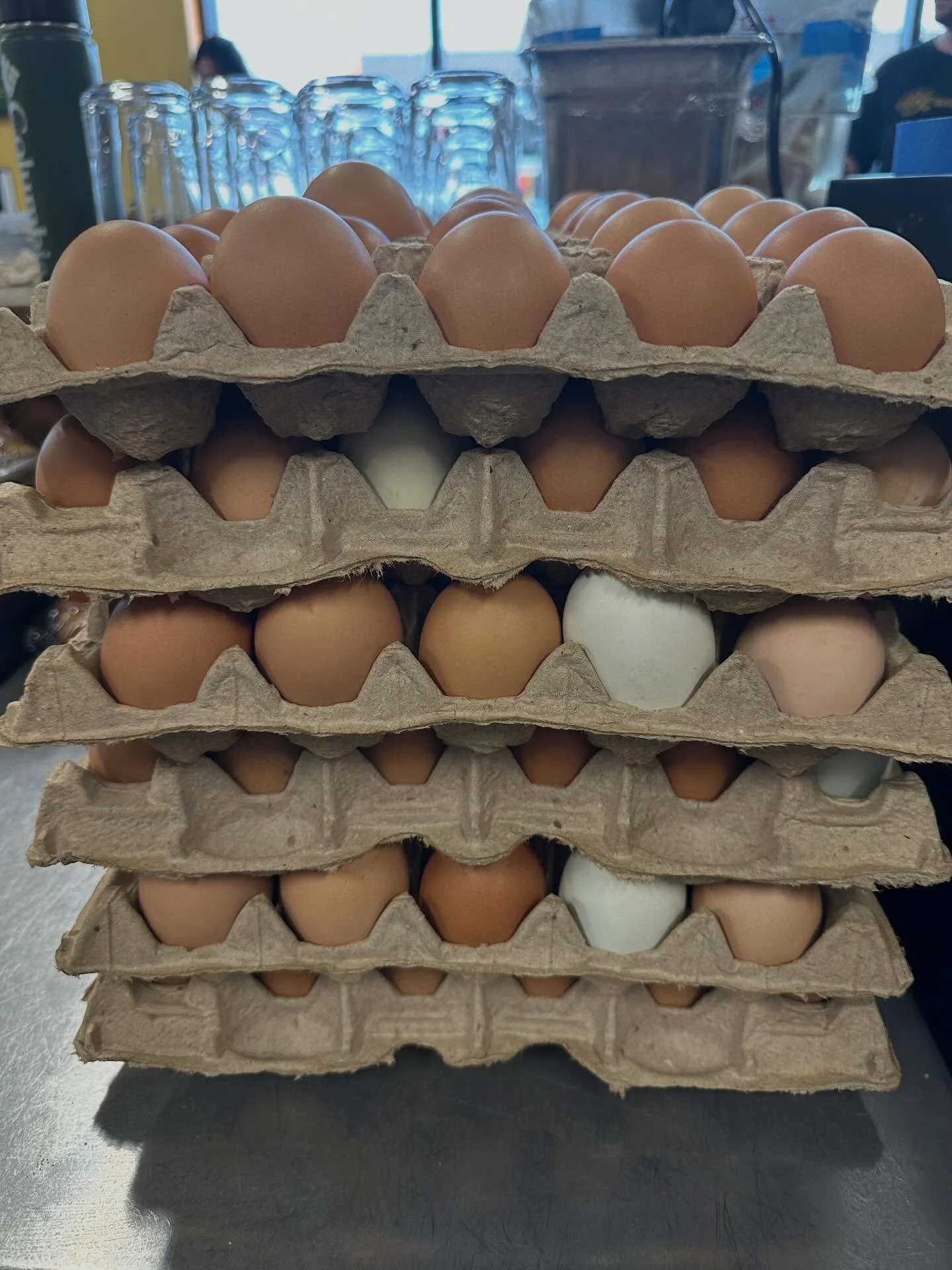 Starting our weekly egg delivery today! We are now getting farm fresh and local eggs from Parrot Creek Farm in Canby, for our baked eggs for our sandwiches. These eggs are so delicious and rich!
