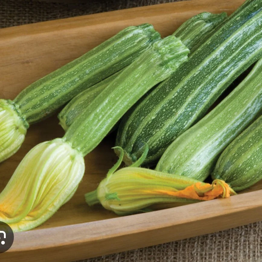 We still have seats available for our dinner Saturday June 13. One of the dishes will be roasted zucchini with bagna cauda and pancetta. We hope to see you there!