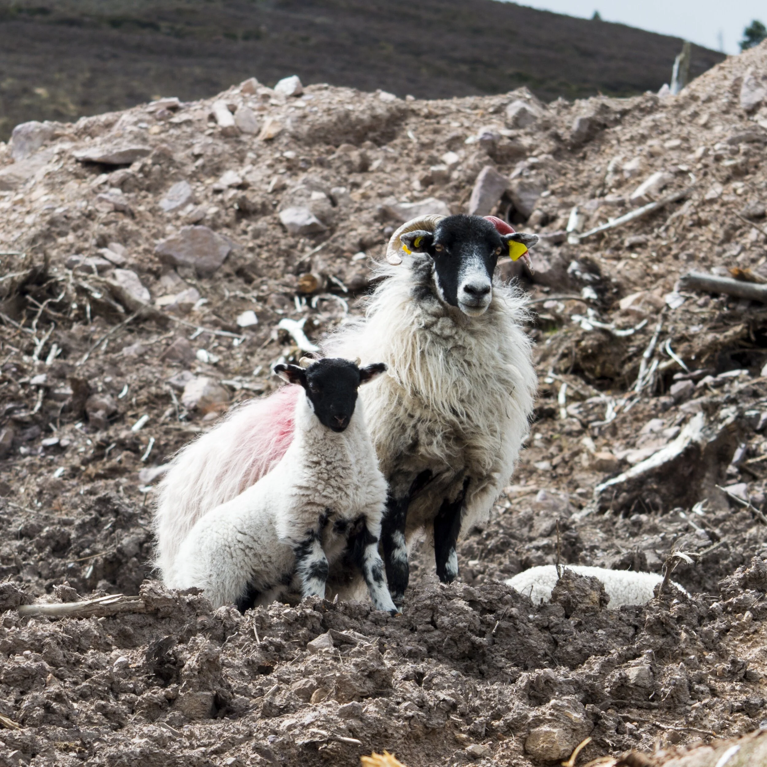 processed_Father and Son.jpg