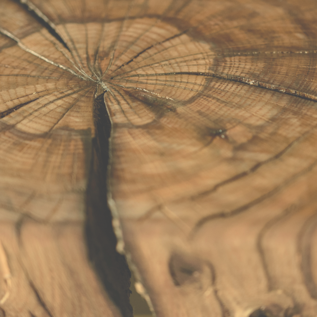 Reclaiming Slow: Supporting Your Nervous System Through Gentle Movement