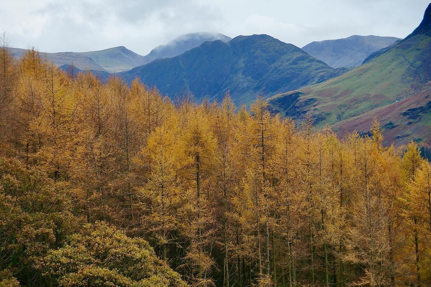 Autumn in our valley is just showing off now. We took these pictures earlier this week and they remind us of the magnificent TV series 1883, 1923 and Yellowstone. Big vistas and high peaks with adventure around every corner. But we&rsquo;re still loo