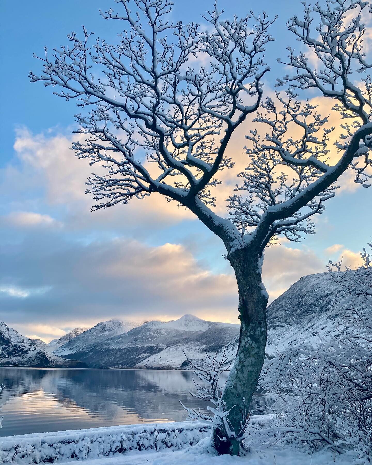 🎶 Merry Christmas from all at Scale Hill! 

📸 Photo taken by us when we last had snow and beautiful skies at Crummock Water and our chosen image for our Christmas Card this year&hellip;

💌 All the post was collected by our wonderful postman Stephe