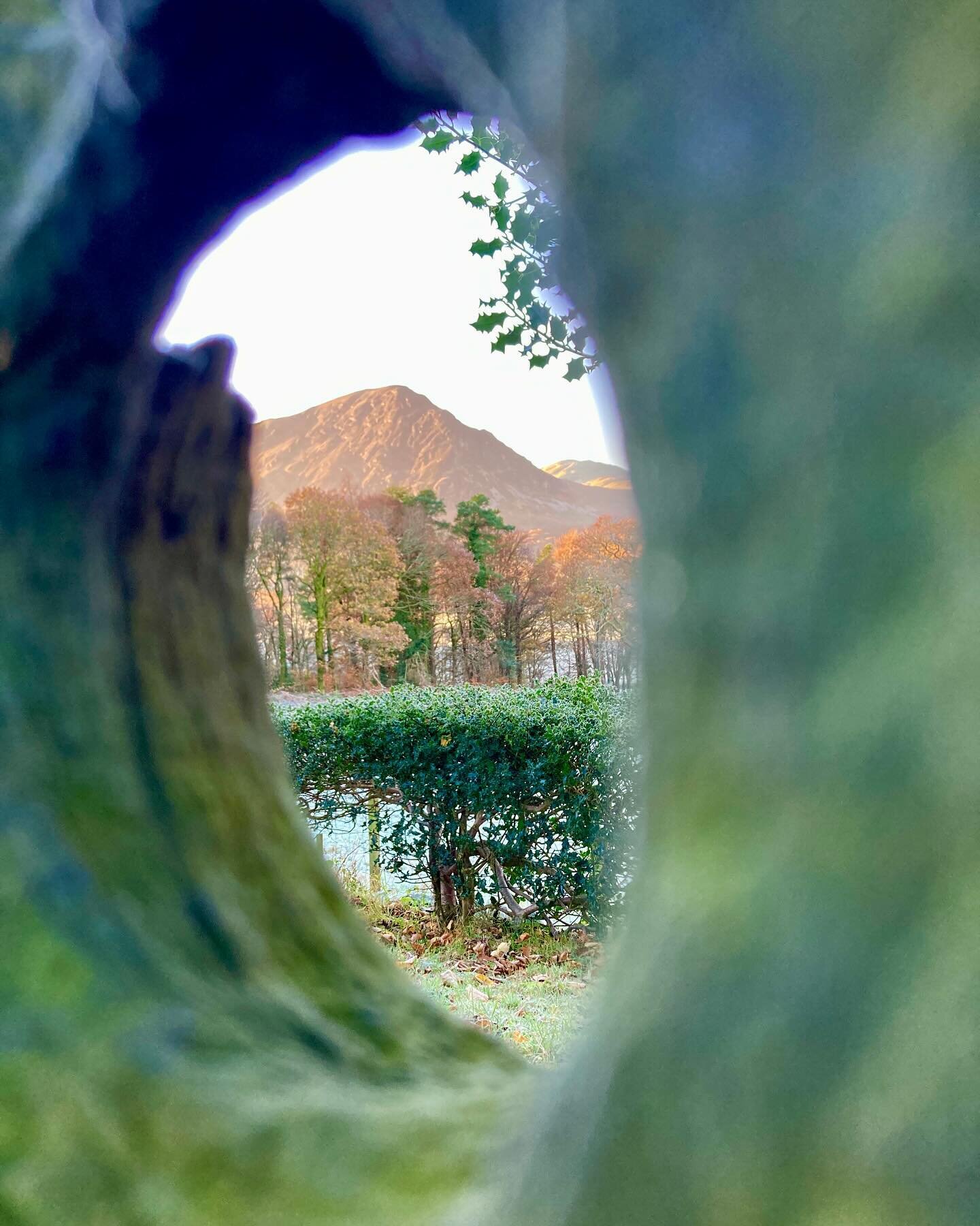 ❄️ January Sanctuary ❄️ 

In January's hush, Scale Hill's embrace, 
Crummock Water mirrors nature's grace. 
A sanctuary found in frosty air, 
Where crisp morning walks, devoid of care. 

With Emma Bridgewater's mug in hand, 
Christmas echoes on this 