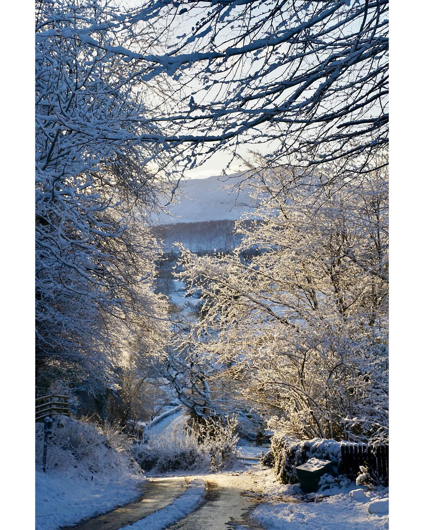 ❄️ The Road Home ❄️

One from the archive today from Januarys past! 
Loweswater is waking up to -5 with sunshine and a light breeze. Perfect! 

🎶 Evergreen by Massed Bands of HM Royal Marines. If you get the chance to listen in full, turn up the vol