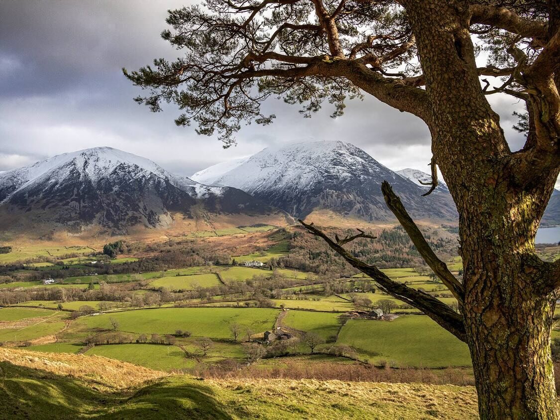 🌳 A beautiful day of peaceful serenity at the Lone Tree, can you spot @scalehillhotel? 

Snow on the tops, with the feeling that Spring is just around the corner. 

🐣 We are looking forward to Easter and all the excitement and joy still to come in 