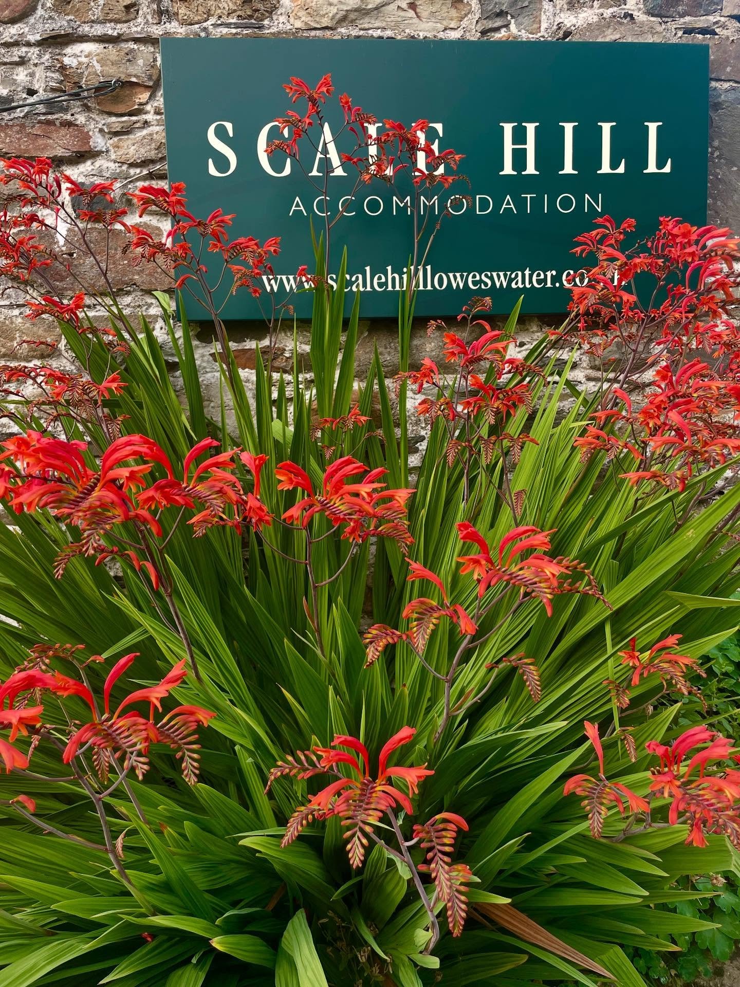 August incoming at Scale Hill