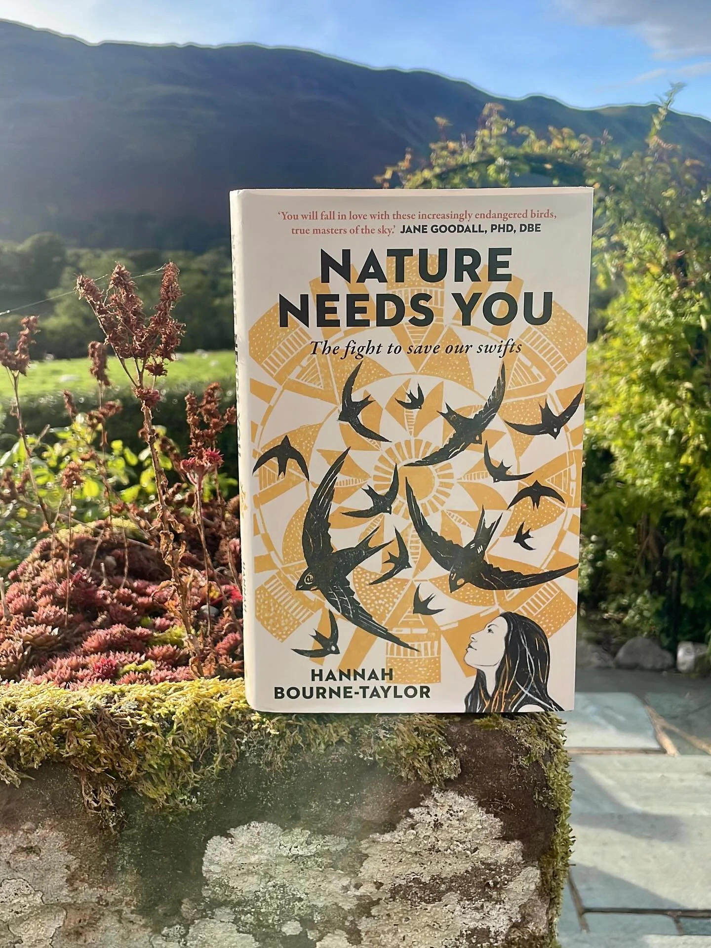 📚 Our book of the moment ~ Nature Needs You by @writerhannahbt photographed on our terrace last night with September Sunshine resplendent and glowing after several days of inclement and heavy autumn rainfall. The beautiful front cover reminded us of