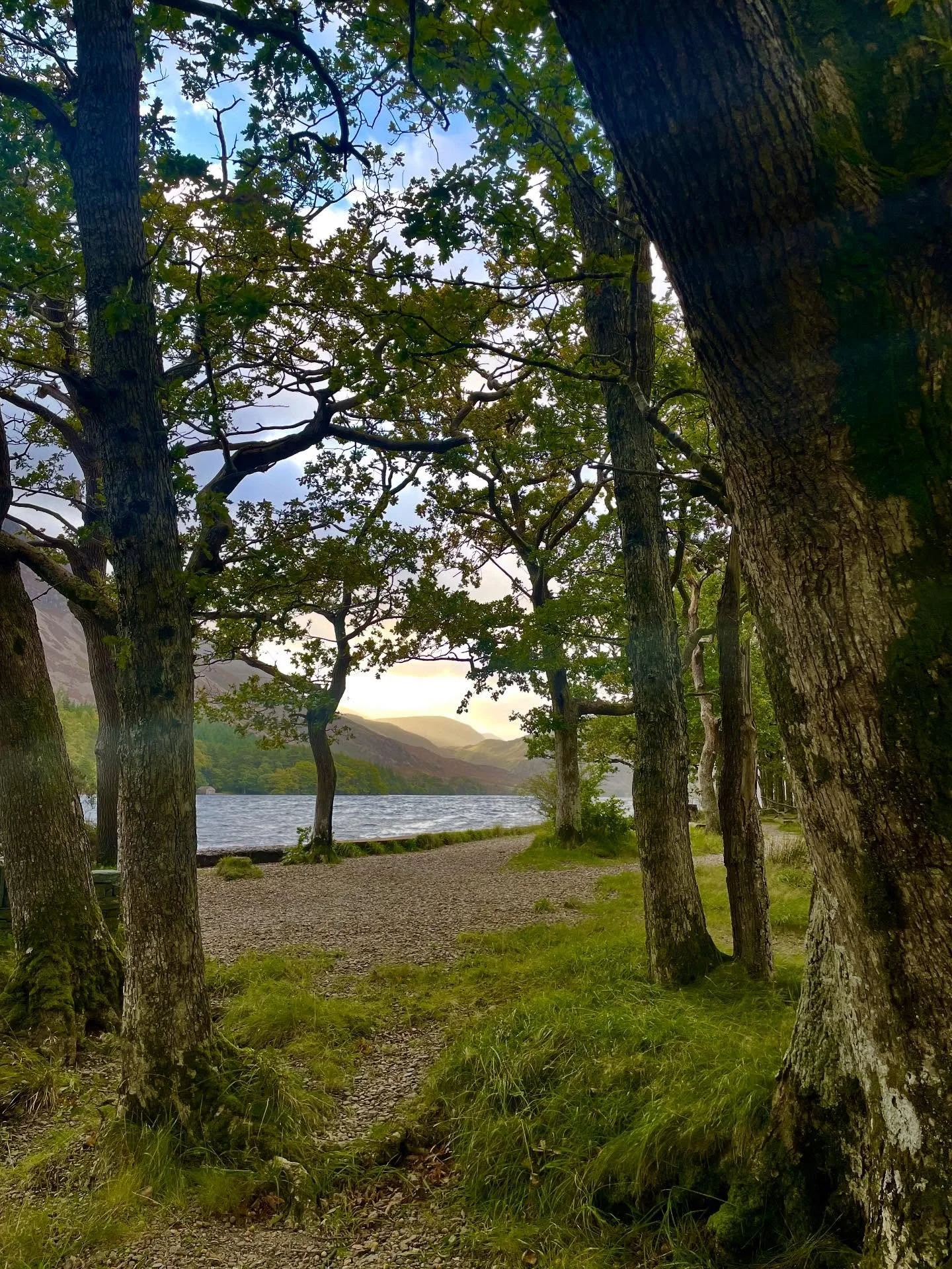 Light Cavalry at Crummock 

Morning sunshine earlier this week, beautiful waters and blue skies peeking out behind the clouds. The virgin greenery of spring and summer are gone and already we are seeing the vibrant colours of autumn appear ~ the aubu