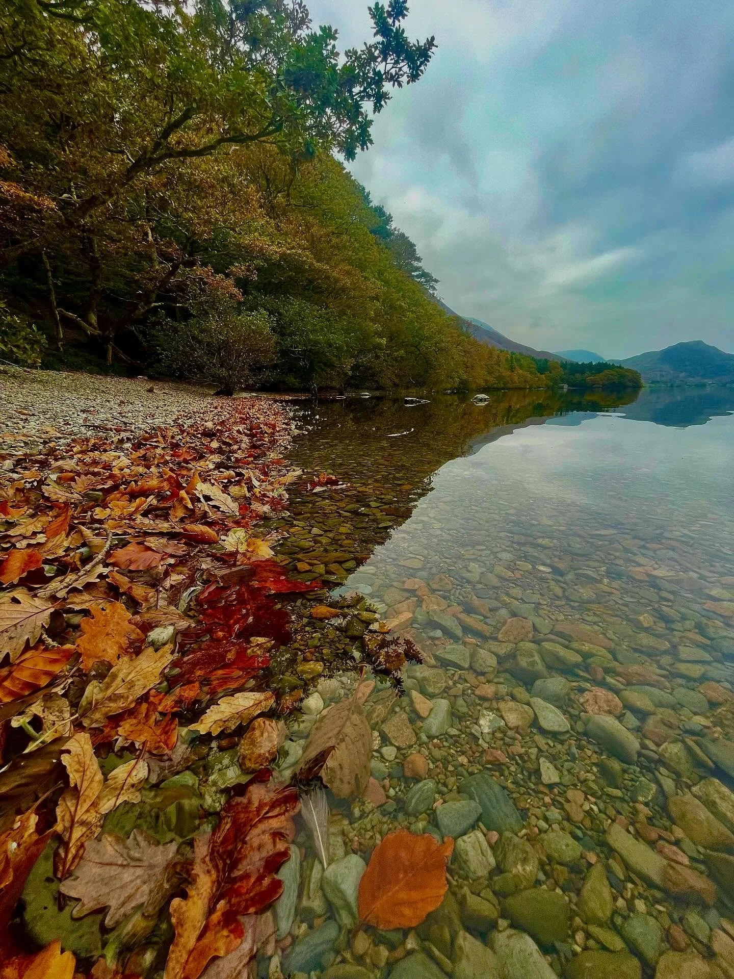 🍂🍁🍂Just look at these autumn colours, captured before the cold snap that is incoming and inevitably just around the corner. There was a sprinkling of snow last night here at Scale Hill&hellip;

We&rsquo;re gearing up for the festive season here, l