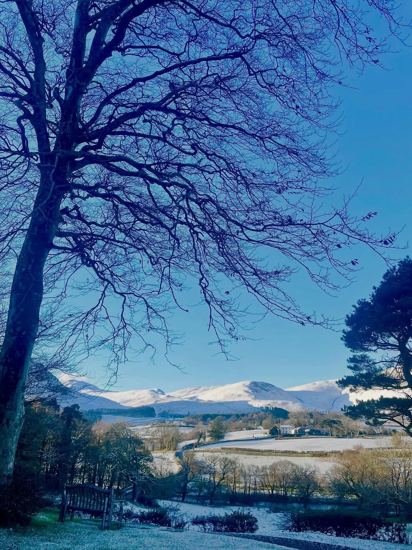 ❄️ The cold snap ❄️ snow, and crisp sunshine at Scale Hill