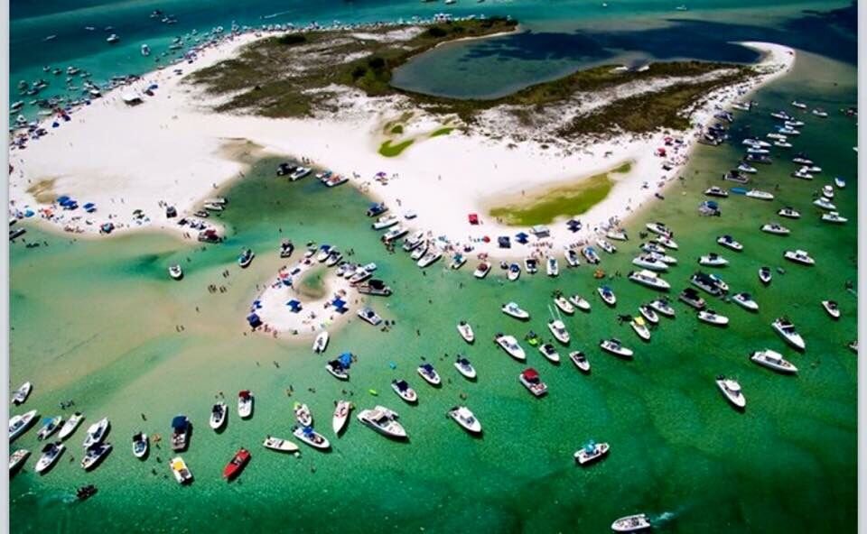 Robinson island crowded.jpg
