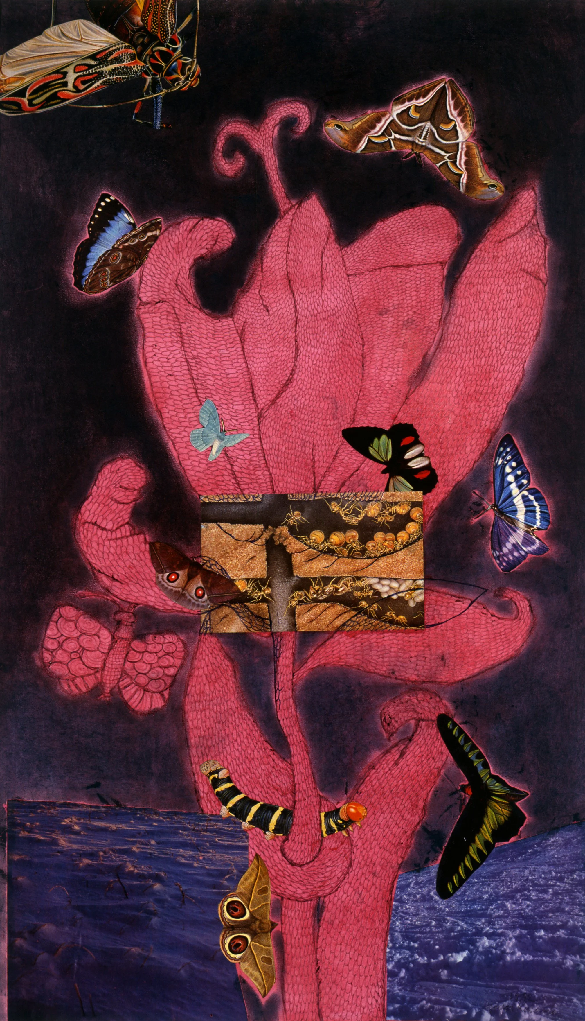 Yayoi Kusama - Retrospektive in der Fondation Beyeler