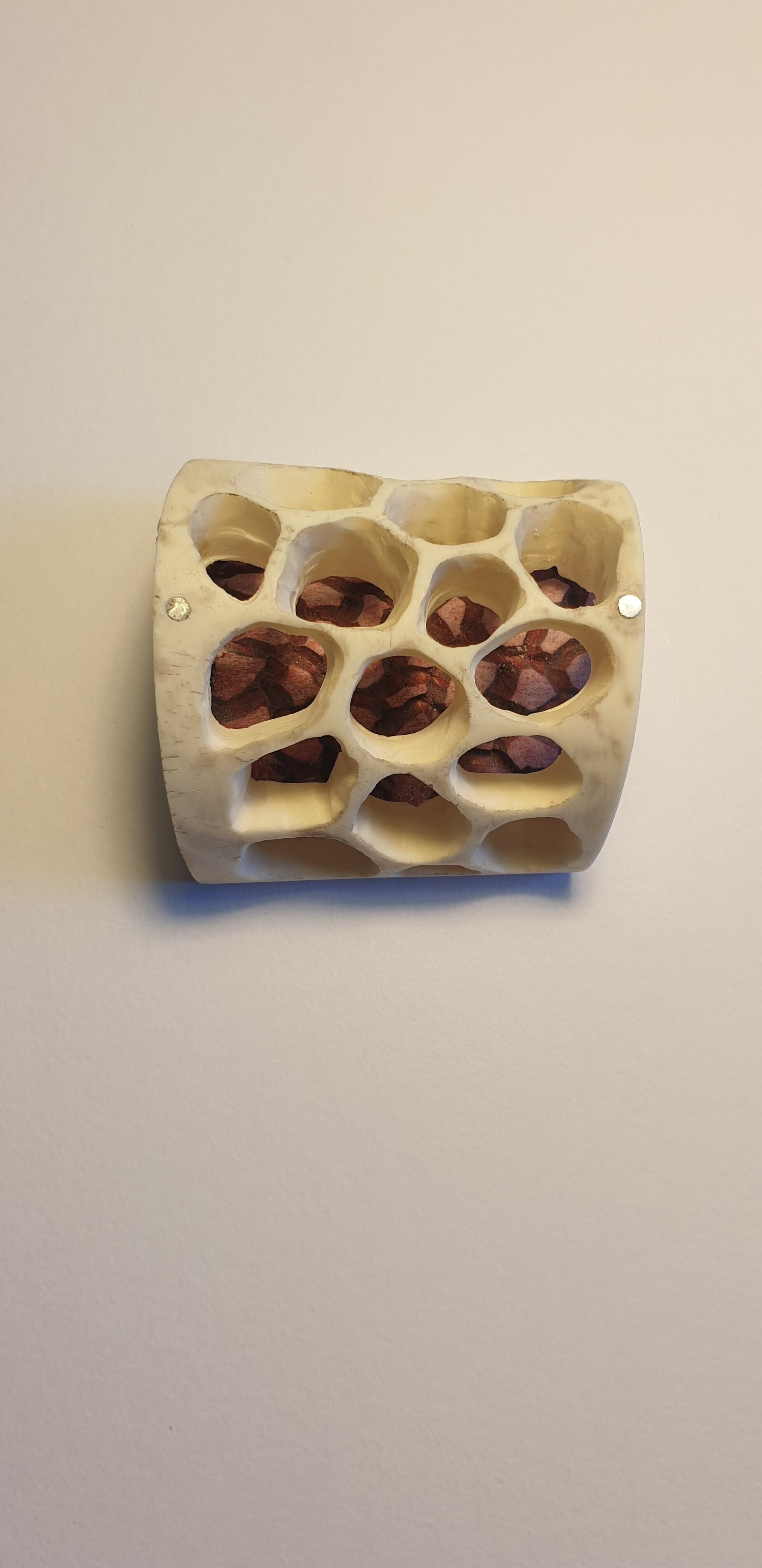 Skin & Bone, brooch, beef bone, dye, sterling silver, Stainless steel