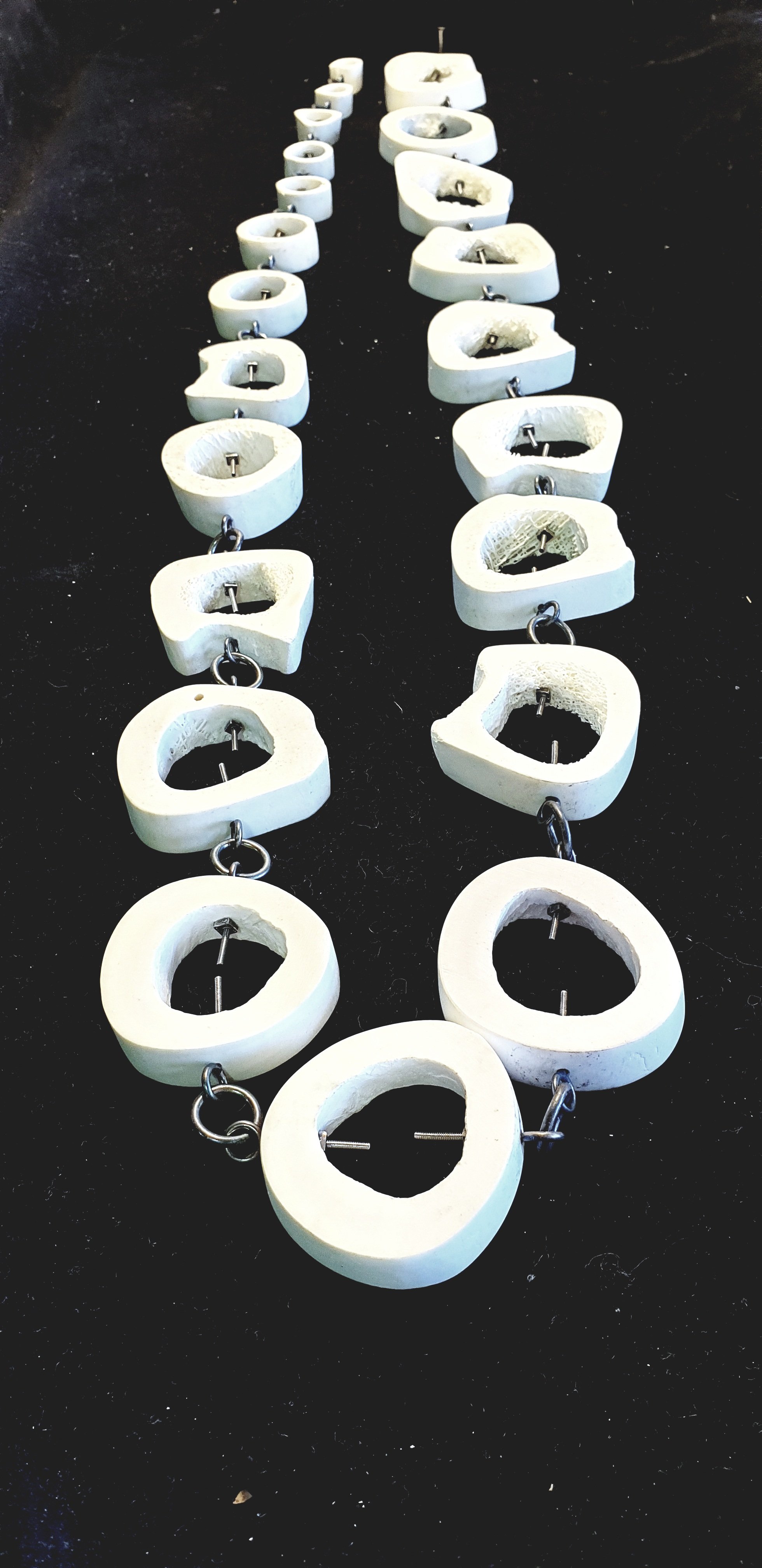 Screwed Together, 2021, 
Sterling silver, Beef bone, lamb bone