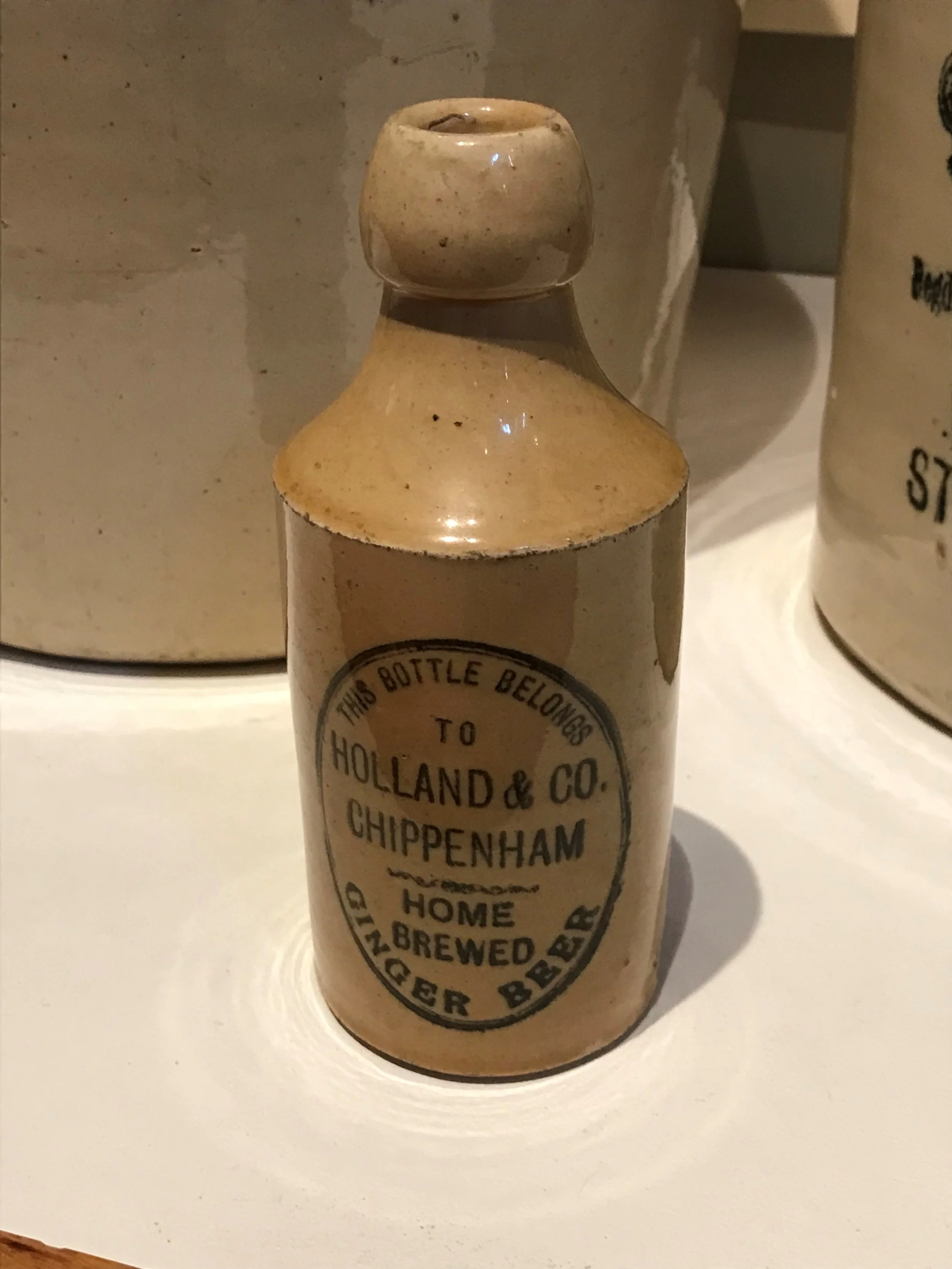 Ginger Beer &amp; a Stuffed Cat