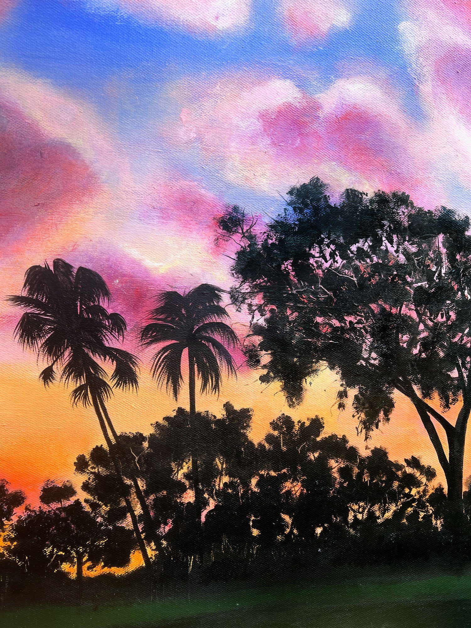 big-sunset_close-up3_LR.jpg