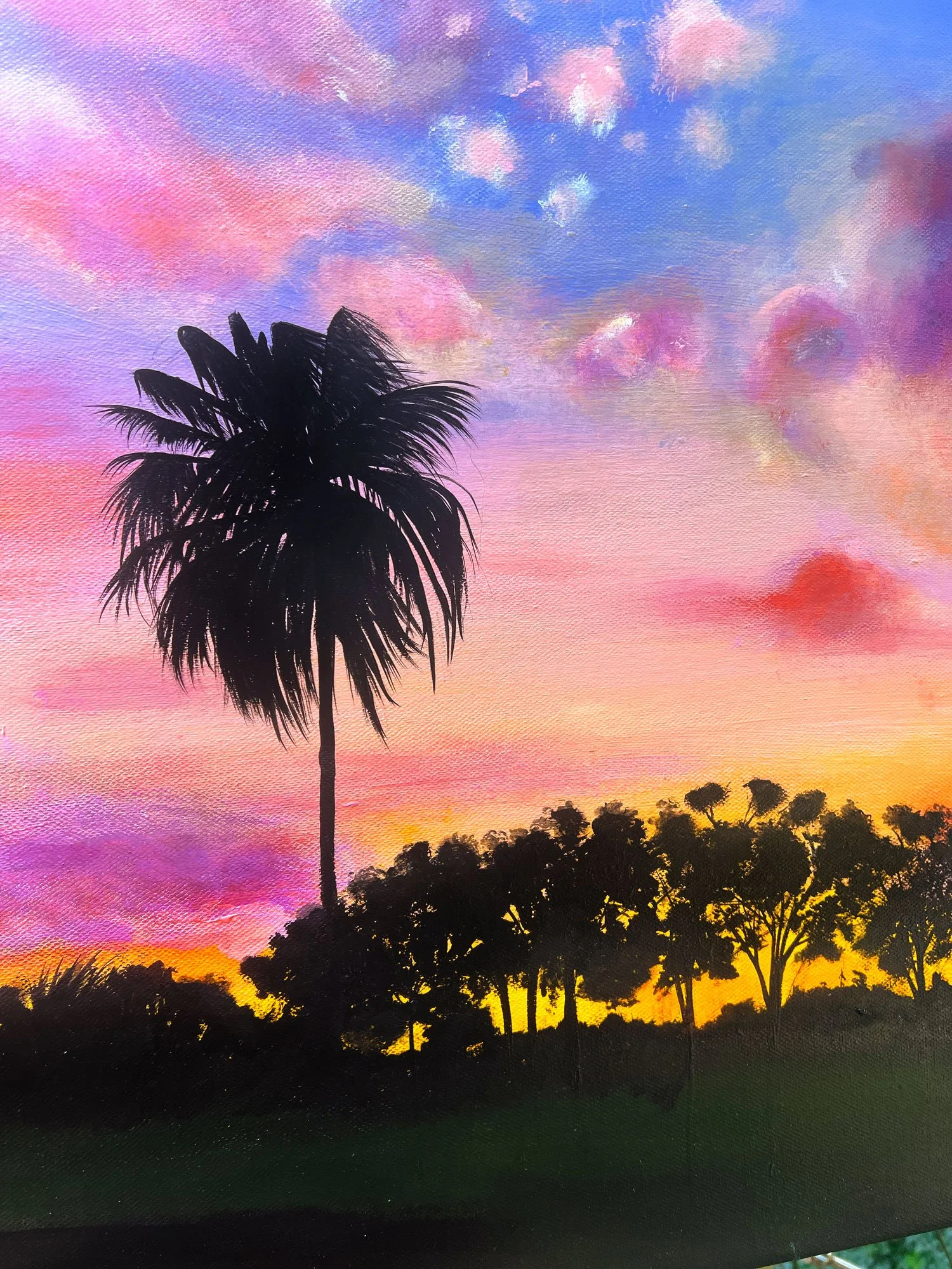 big-sunset_close-up_LR.jpg