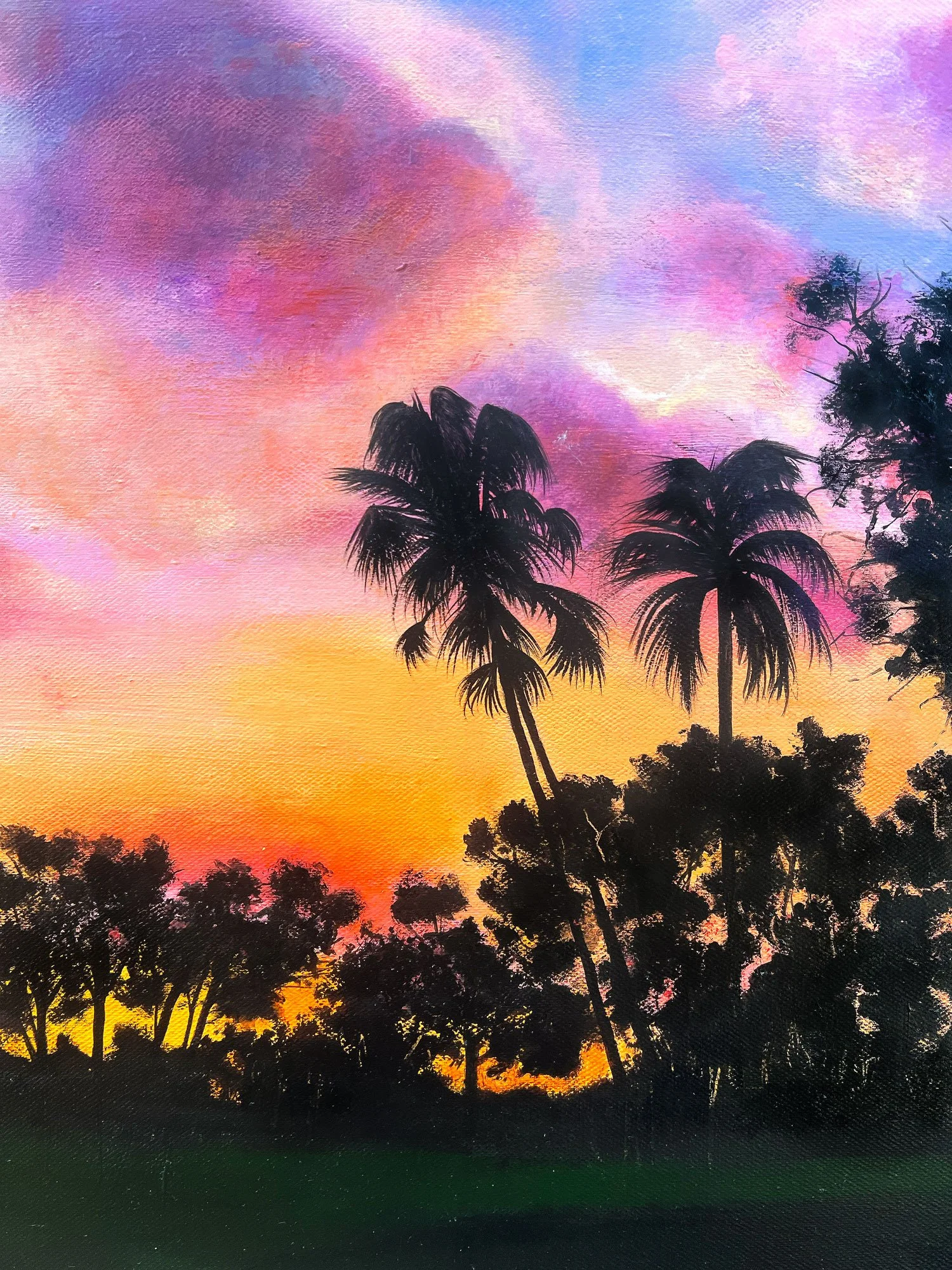 big-sunset_close-up2_LR.jpg