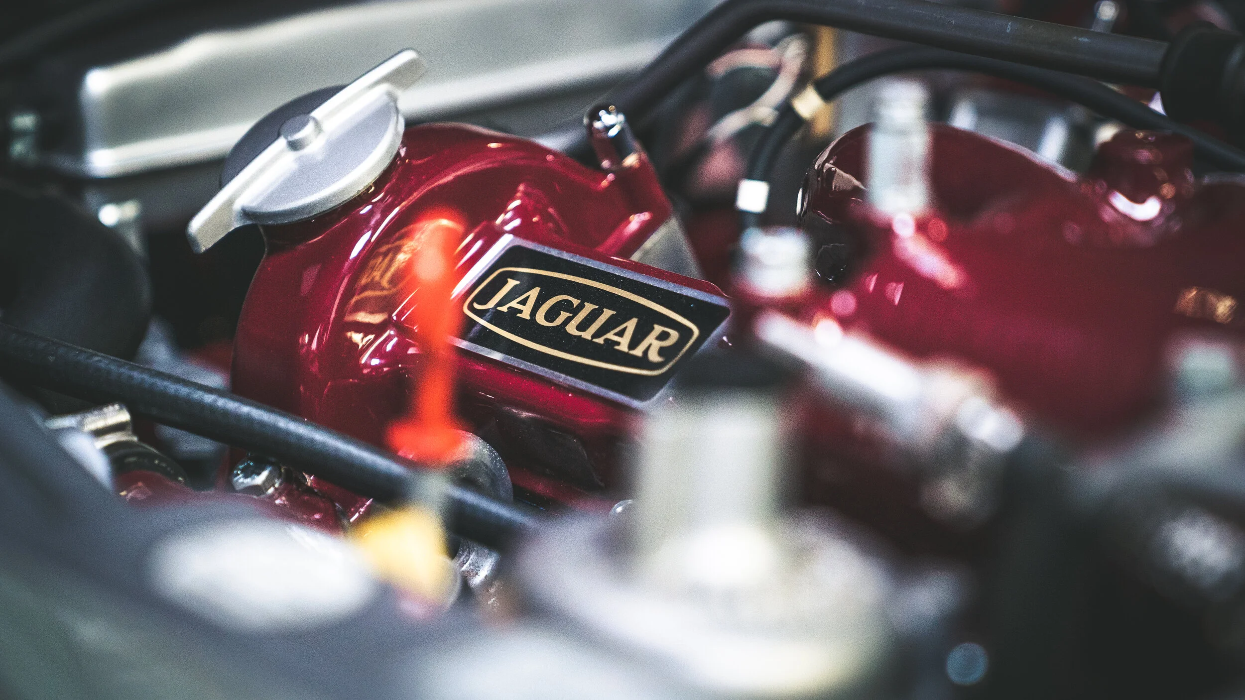 Swallows Jaguar Enthusiasts event-9.jpg