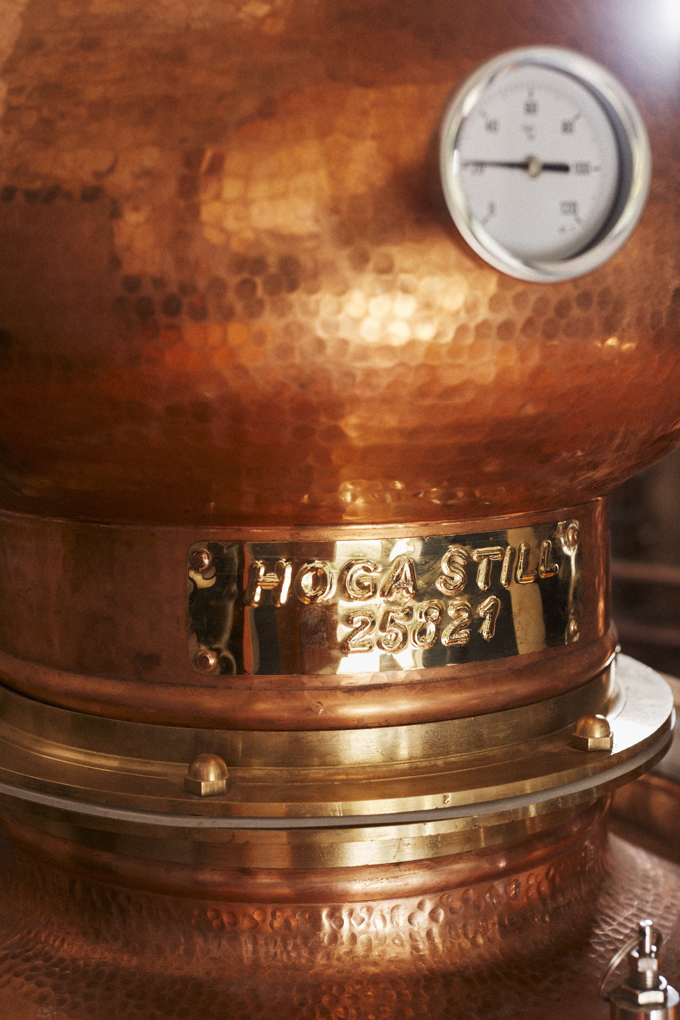 SCRATH_RUM_PROCESS_SHOOT_27_07_22_153.jpg