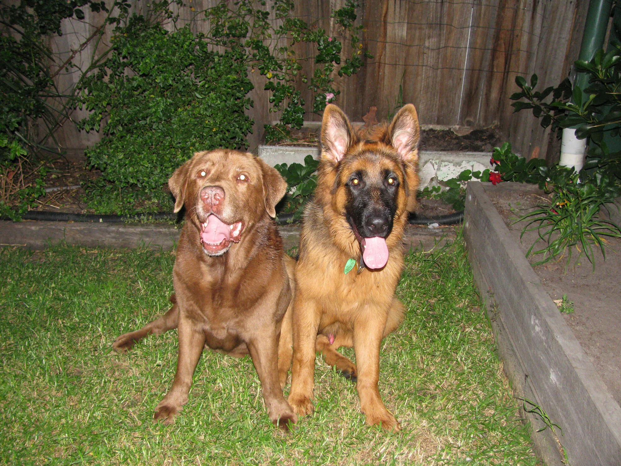 Muddy & Morpheus.jpg