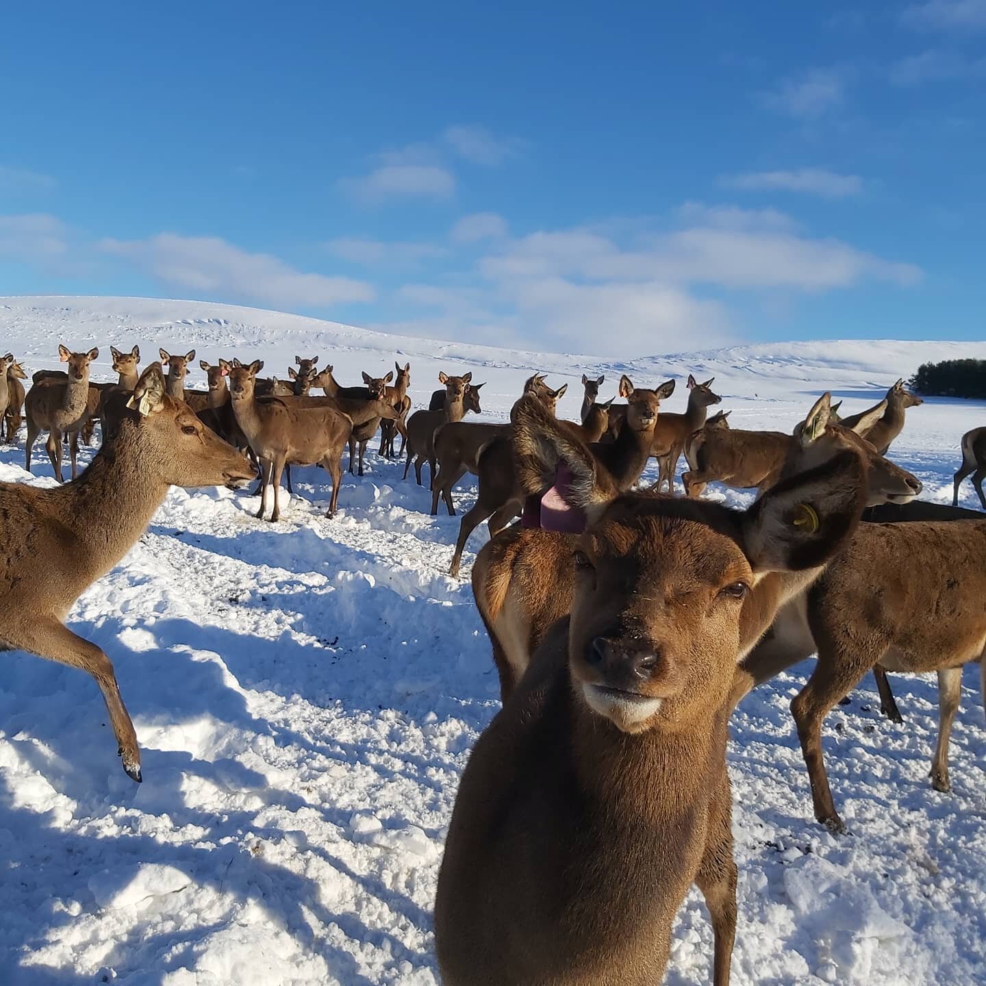 Happy to see us on such a cold day out there