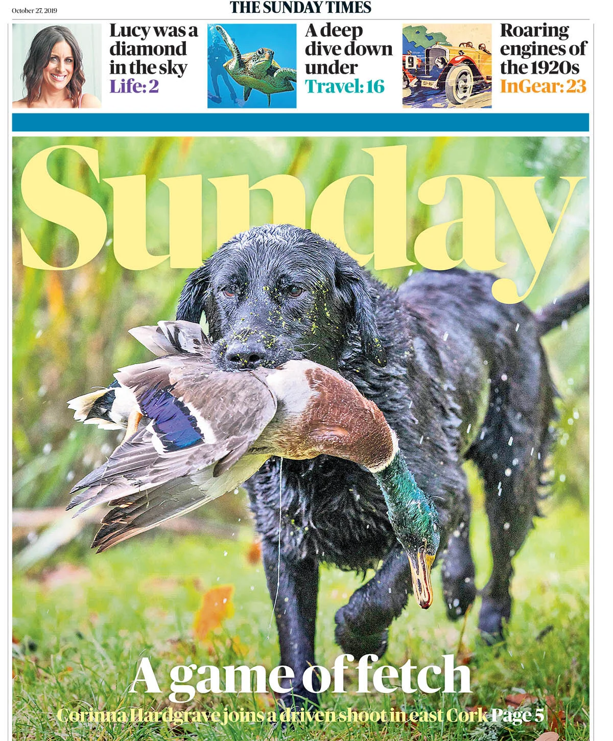 duck:shoot:feature:sunday:times1.jpg