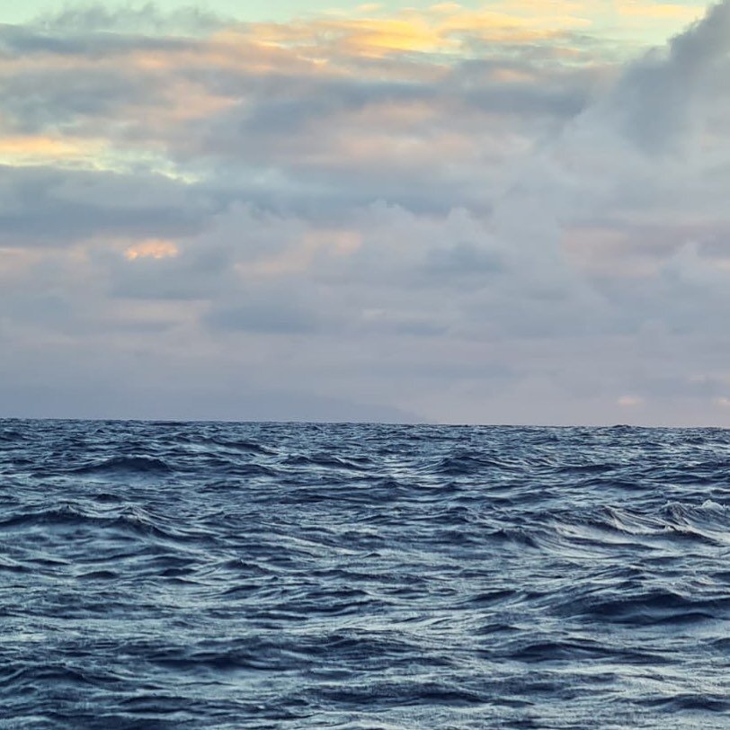 Land Ahoy! Here they come!!!

Arriving at 0700-0800 Kauai time, 1800-1900 UK time.

You can watch their arrival LIVE exactly as you did with their race start on @worlds.toughest.row YouTube and Facebook channels

&bull;

#seeyouonthebeach #pacificone
