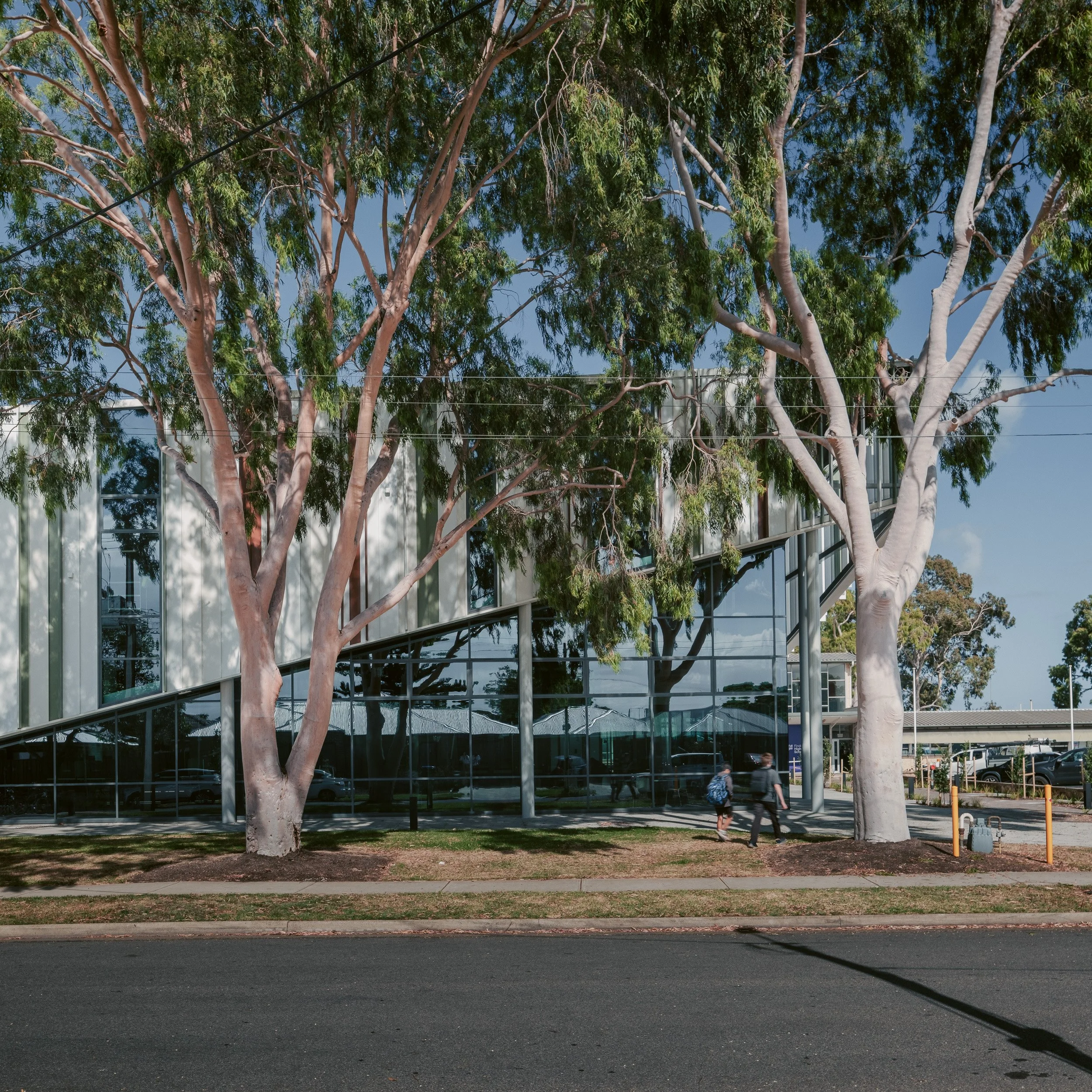 Findon Tech-5_BashImage.jpg