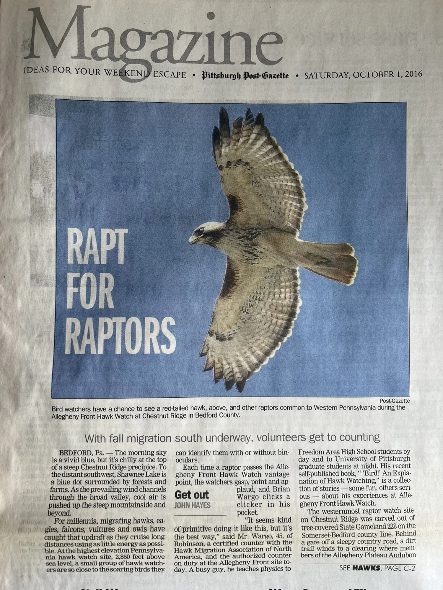 About the Hawk Watch — Allegheny Plateau Audubon Society