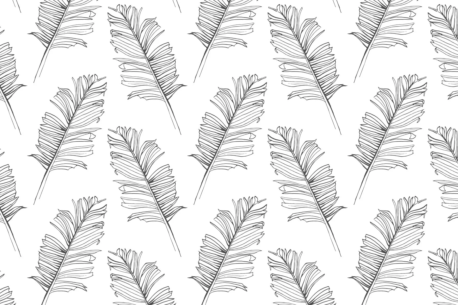 Feathers