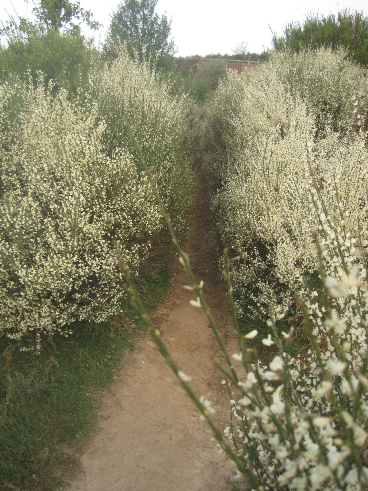 Take A Walk In Nature