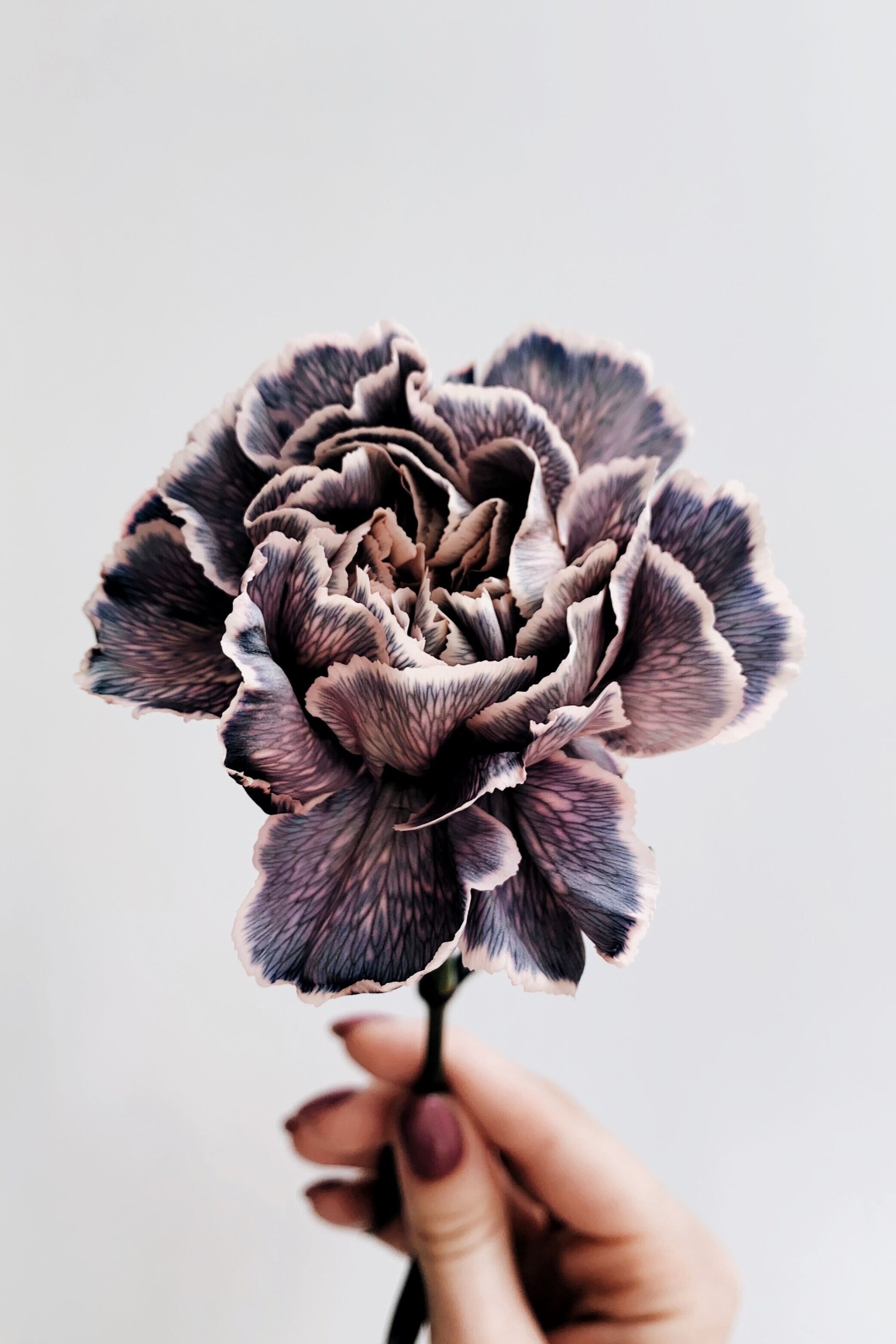 black and white mystical flower.jpg