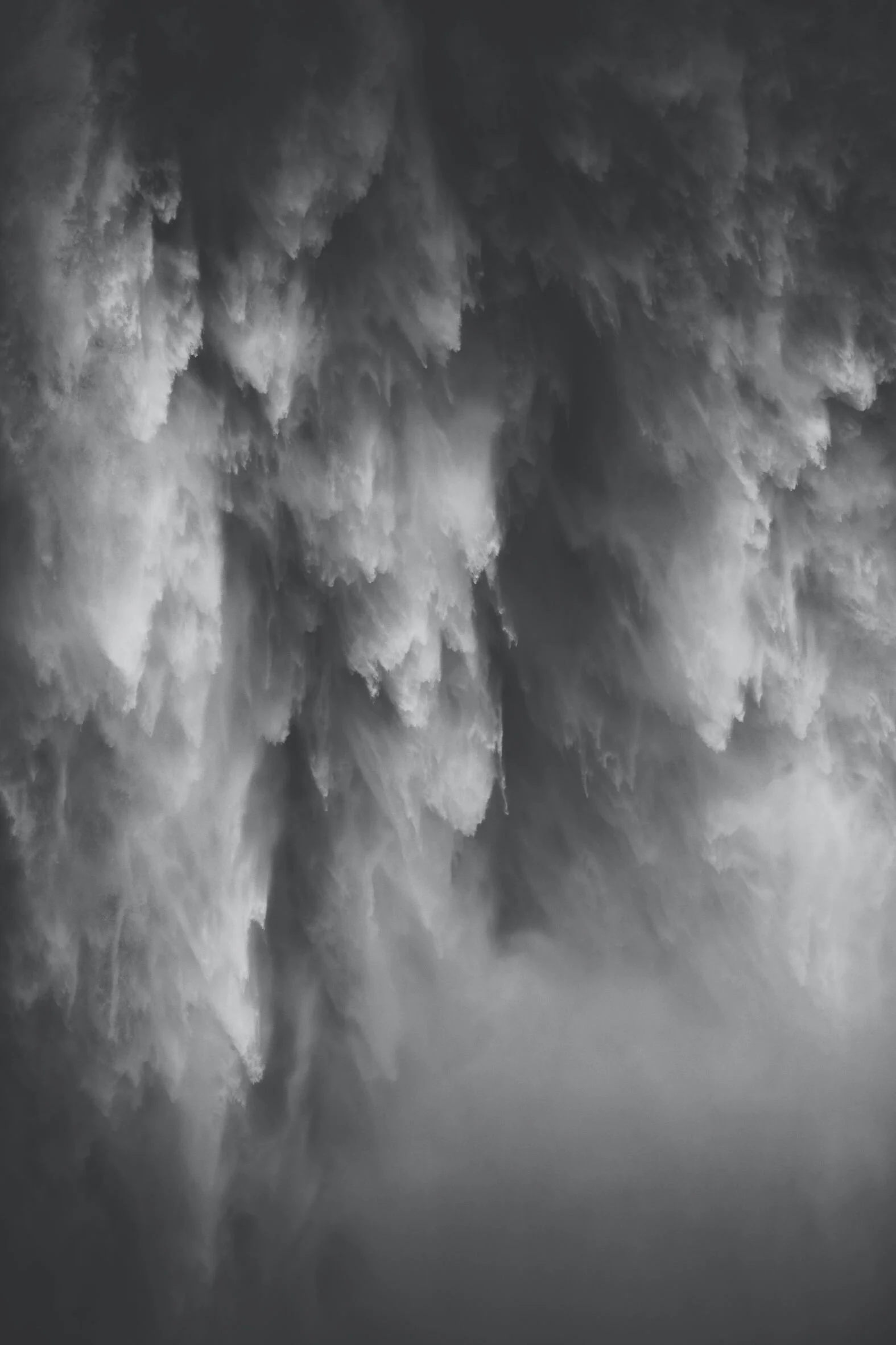 Flower Remedies for Fear 