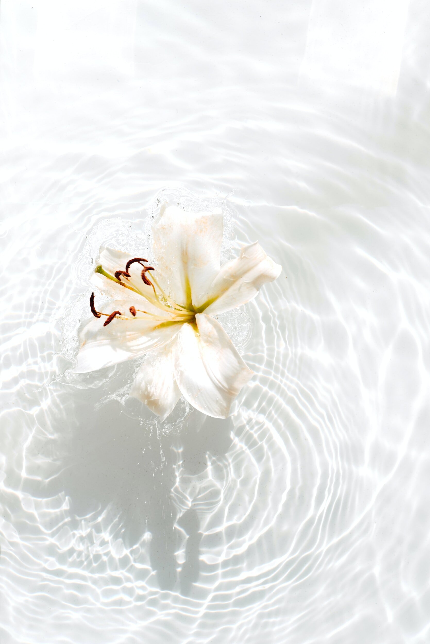 Navigating Grief: Lily's Journey to Emotional Healing Through Energy Medicine