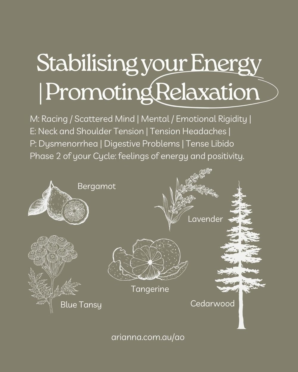 Stabilising your Energy Promoting Relaxationjpg