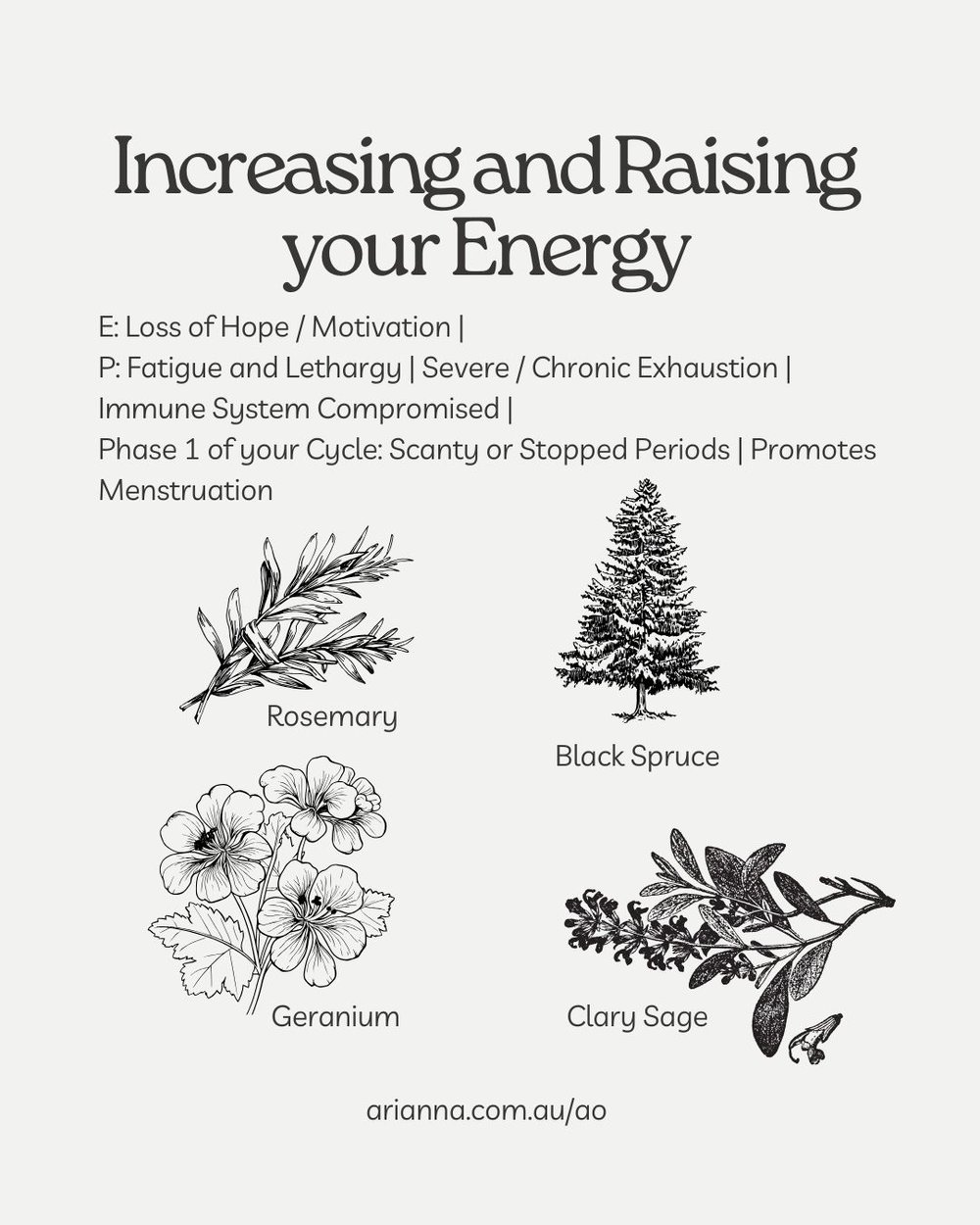 Increasing and Raising your Energy AromaEnergetics Starter Kit.jpg