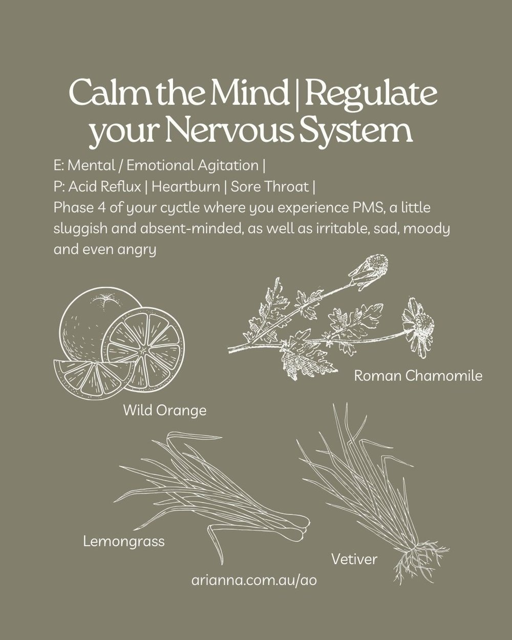 Calming the nervous system aromaenergetics.jpg