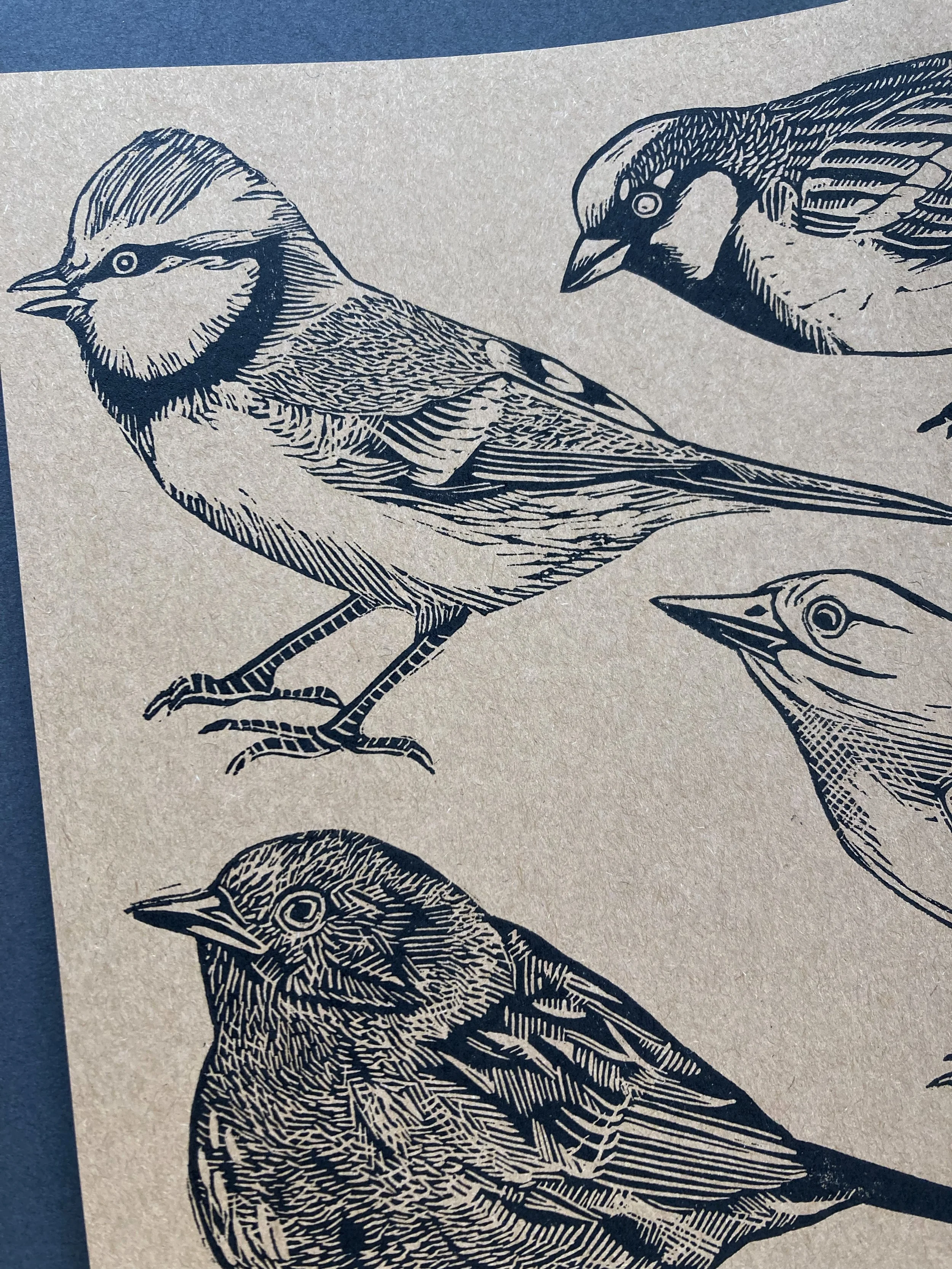 newbirdbookcloseup1.jpg
