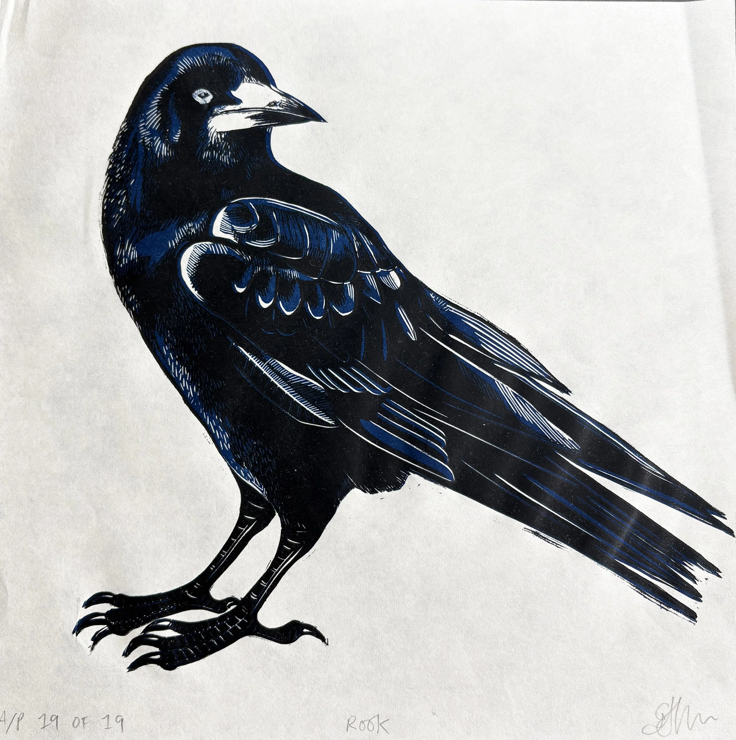 rook19:19.jpg
