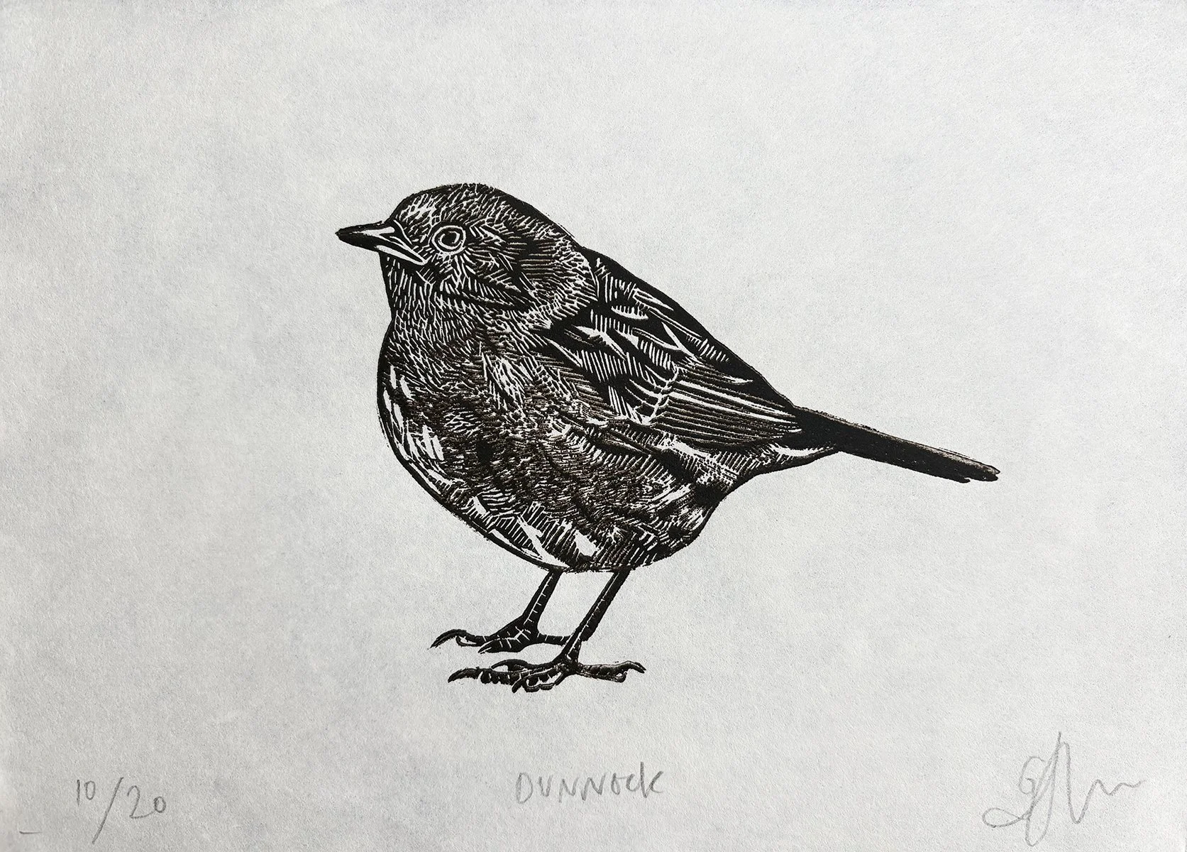 dunnock10:20.jpg