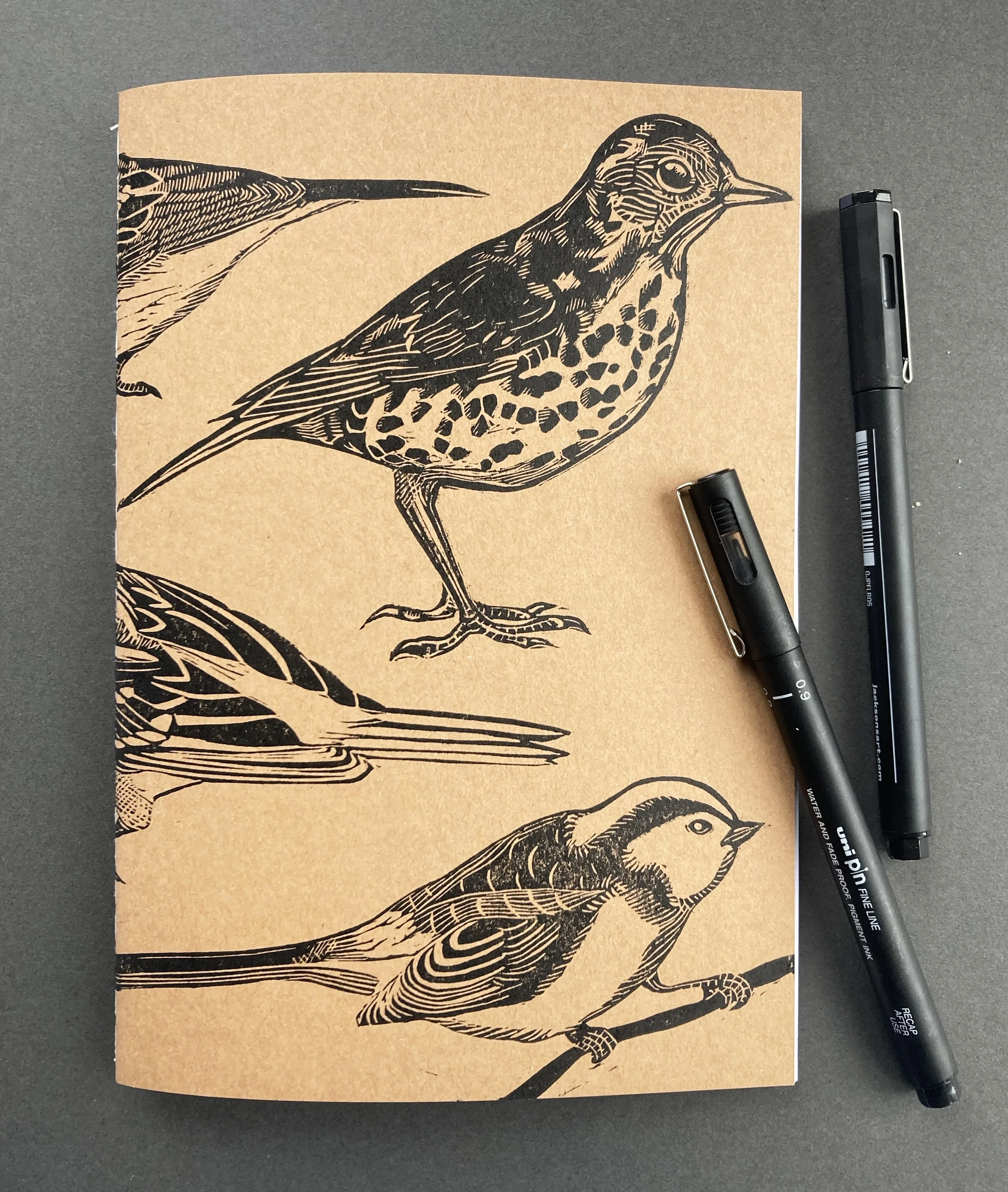 newbirdbookpens.jpg