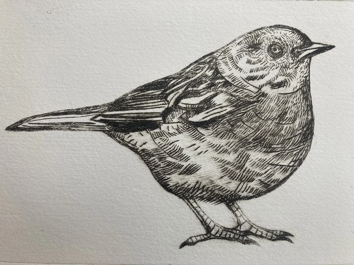 drypoint3:50cropped.jpg