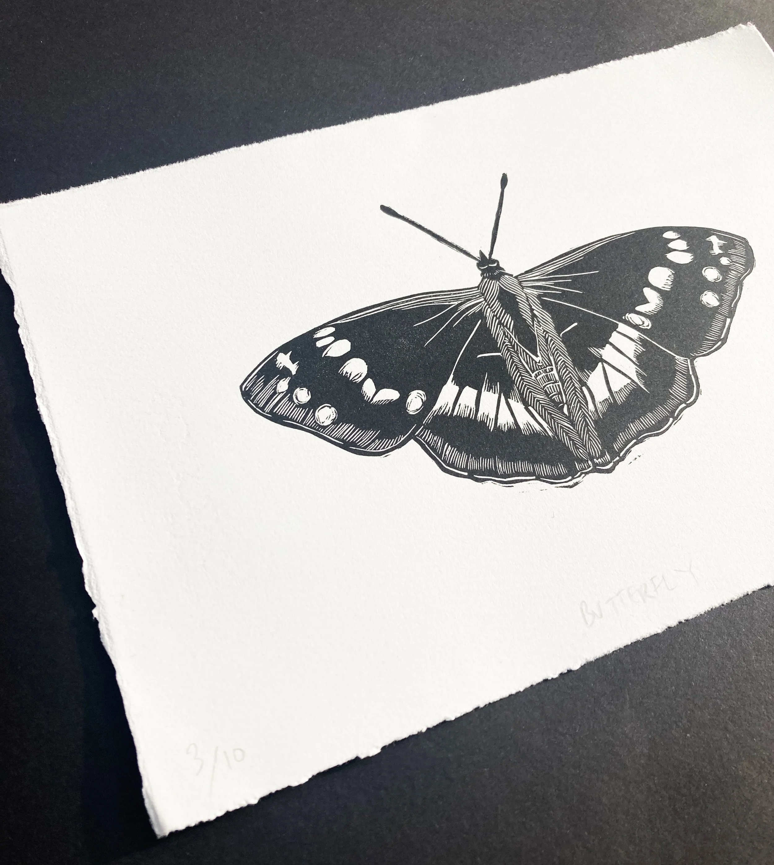 butterflyb+wangle.jpg