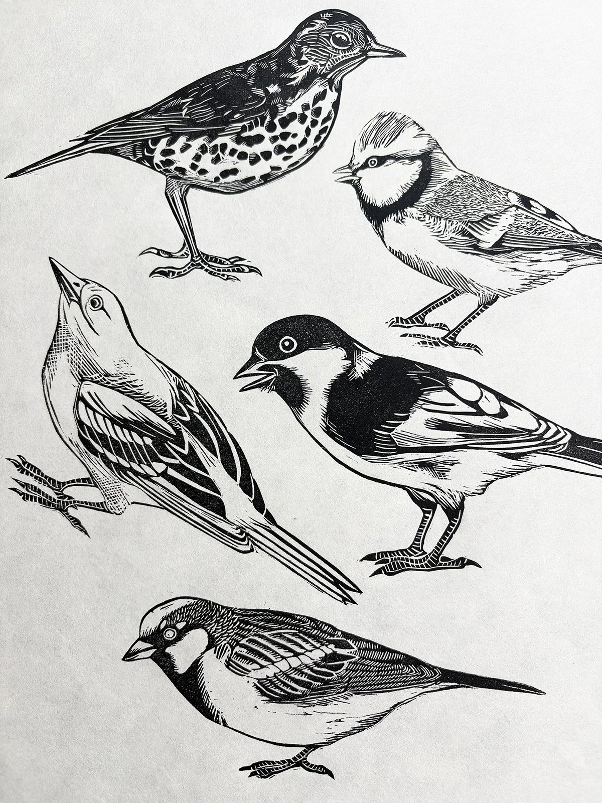 gardenbirdsdetail.jpg