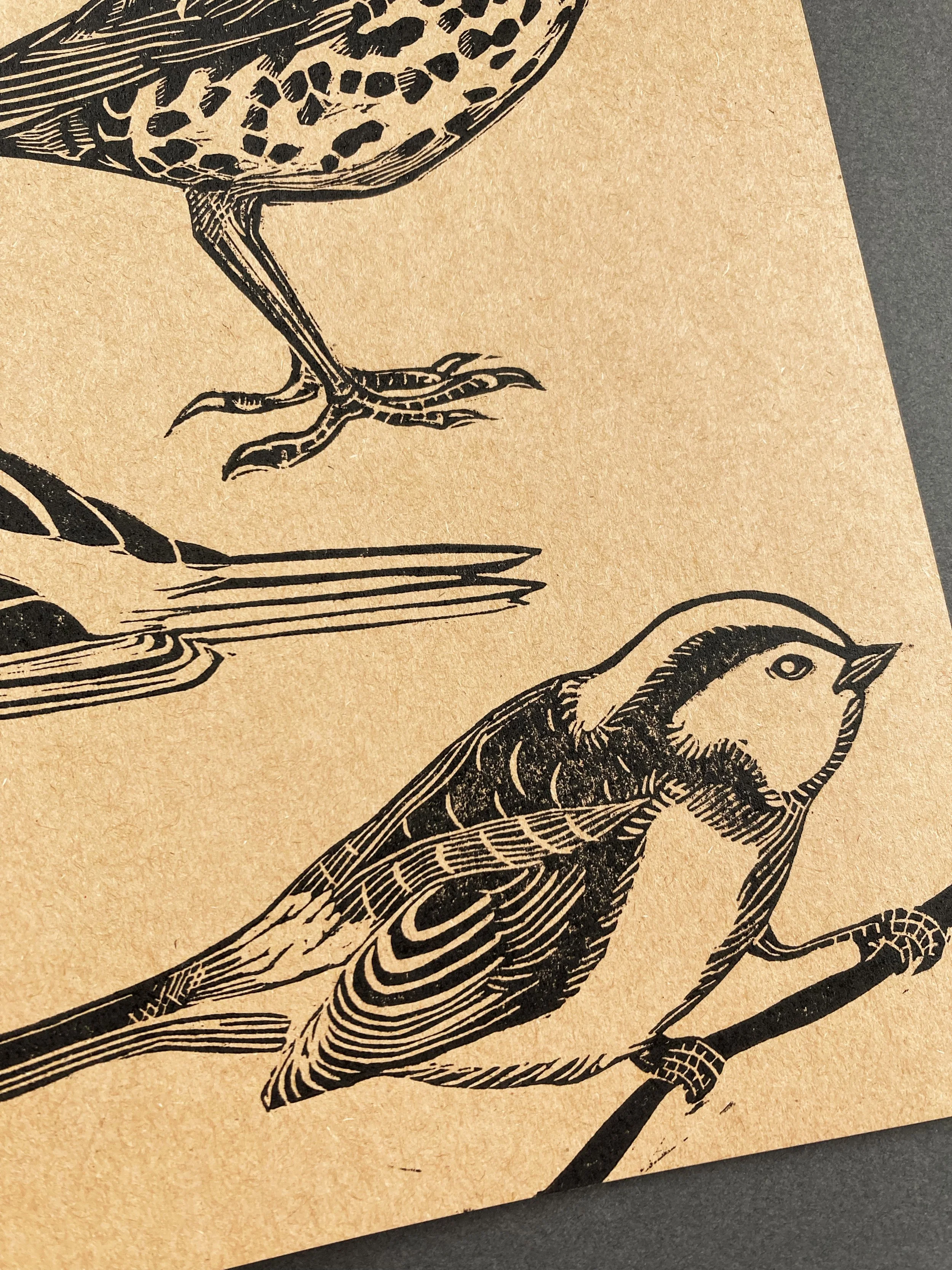 newbirdbookcloseup2.jpg