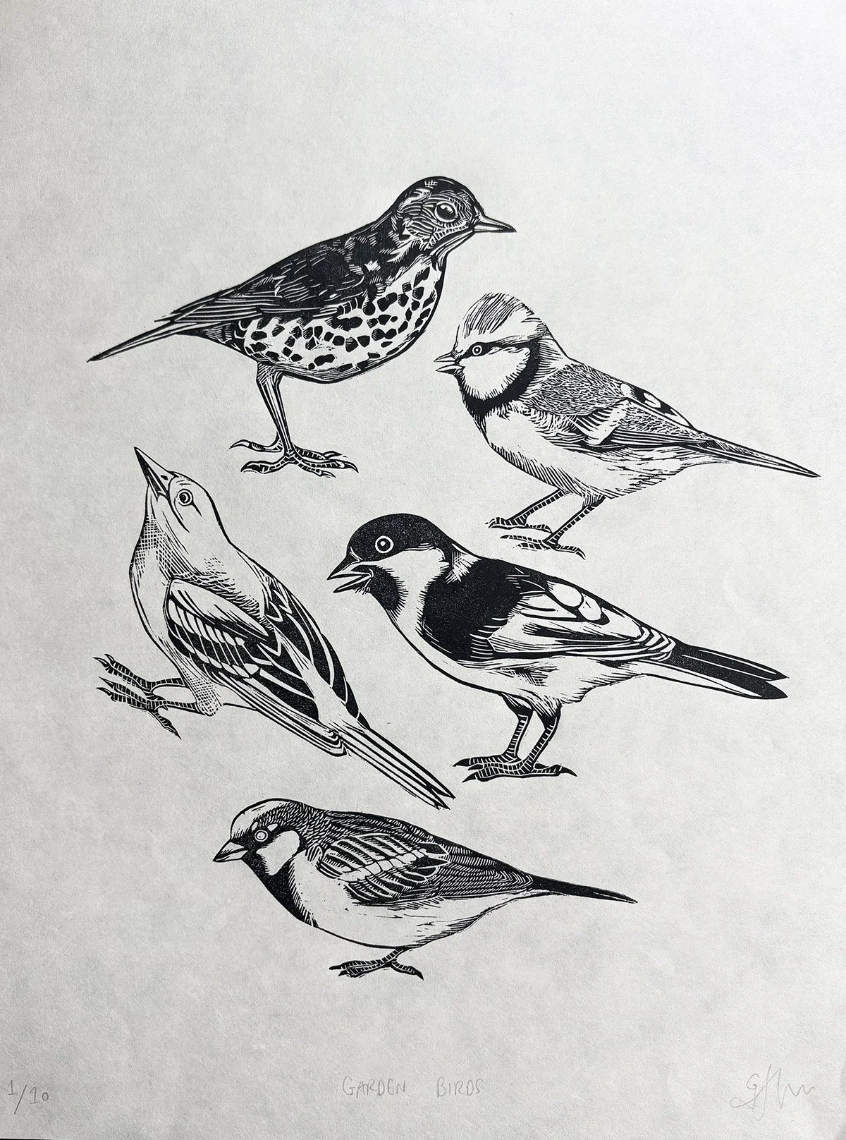 gardenbirds.jpg