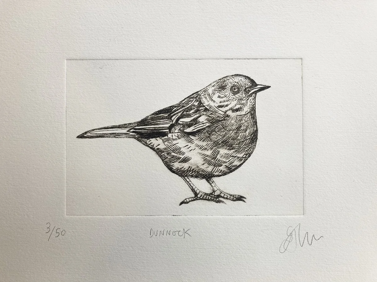 Dunnockdrypoint3:50.jpg