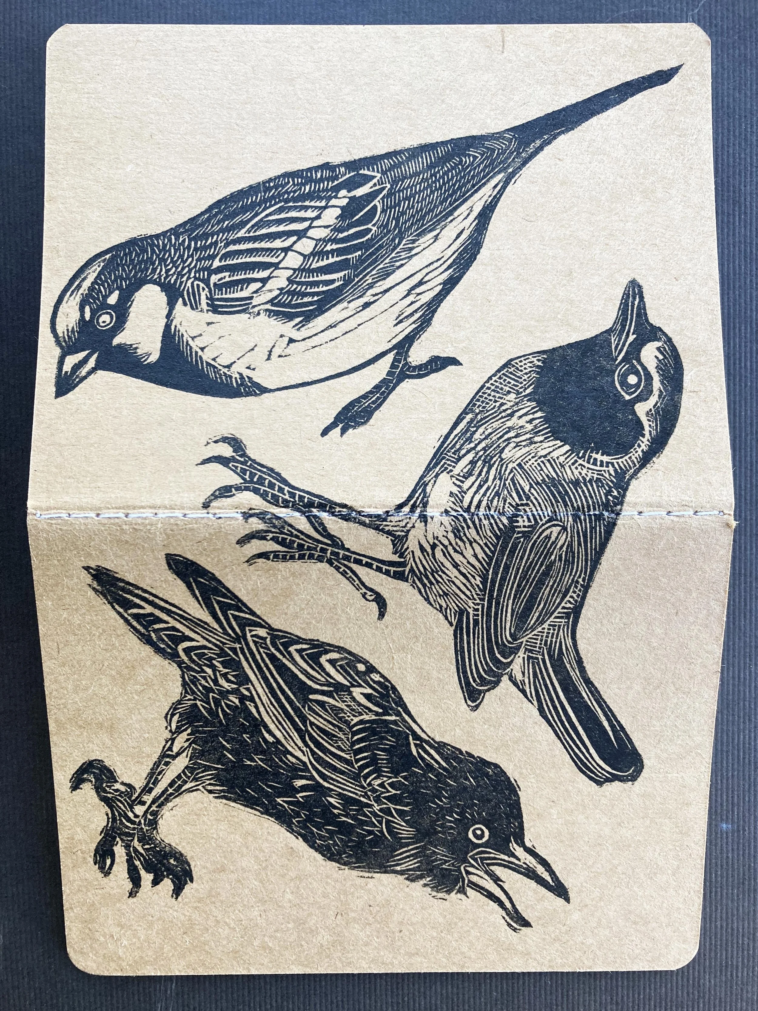 birdbookfrontandbacknew.jpg