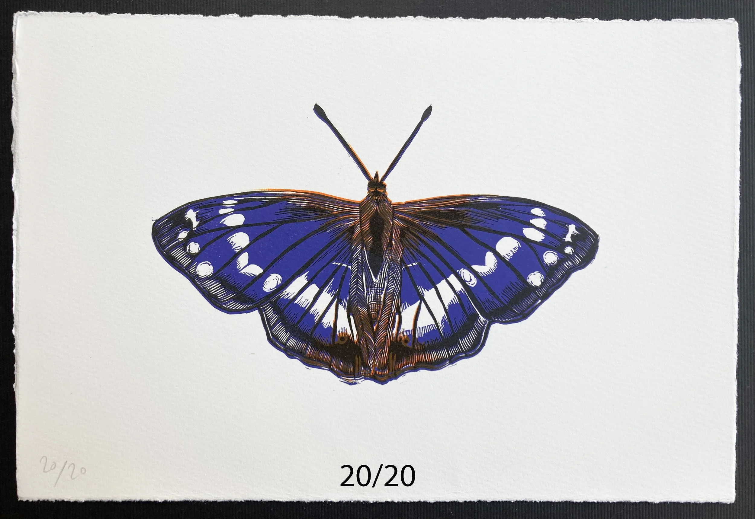 Purpleemperor20:20.jpg